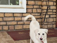 -重庆和泰马术俱乐部