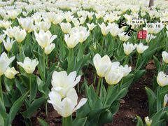 -长春公园(普阳街道)