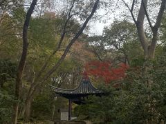 -南山风景名胜区