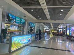 -丽江三义国际机场
