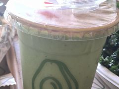 -油梨树AVOCADO TREE(顺义新国展店)