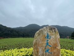 -广州市石门国家森林公园
