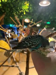 -酷嗒动物文化乐园(cutezoo西溪乐天城店)