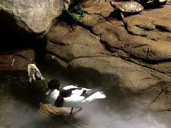 -苏州海洋馆