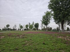 -汉长安城未央宫国家考古遗址公园