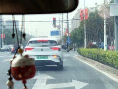 -春花秋色城市公园