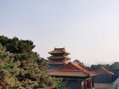 -北陵公园