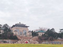 -武汉大学-樱园