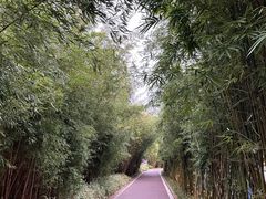 -武汉园博园(武汉自然博物馆)