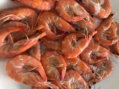 白灼海中虾-旺富东海大酒楼(海鲜街店)