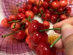 -麦当劳(开源大道东荟城DT店)