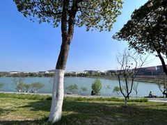 -羊山湖公园