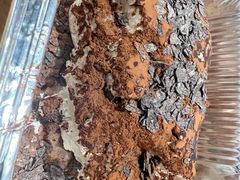 金箔提拉米苏-吃饼人西餐(南开店)