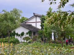 -西溪国家湿地公园