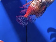 -长春中泰海洋世界