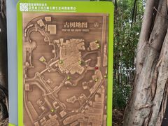 -荔湾湖公园