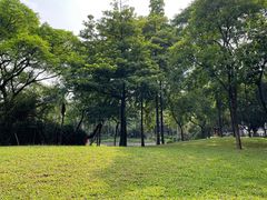 -晓港公园