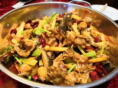 干锅牛蛙-馋嘴蛙火锅