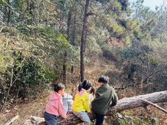 -青龙山国家森林公园