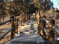 -白水寺森林公园