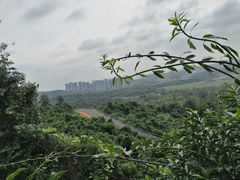 -海南铜鼓岭景区