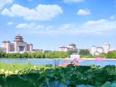 -莲花池公园