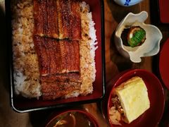 柴藤流鳗鱼饭-本家 柴藤