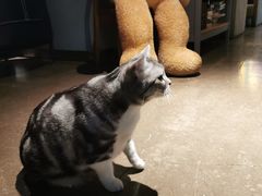 -咖法森林·咖啡  酒吧(天河店)