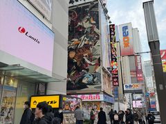 -秋叶原电器街
