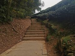 -西湖风景区十里琅珰-五云山