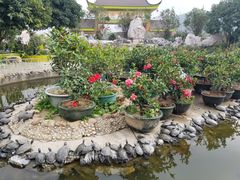 -八景休閒山莊  廣東十大名山莊