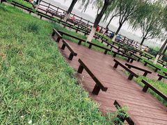 -西青郊野公园