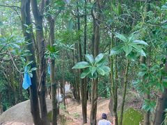 -火炉山森林公园