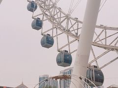-幻彩摩天轮