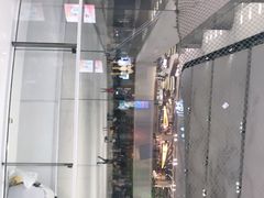 -TheRink大零溜冰场(IFS国金中心店)