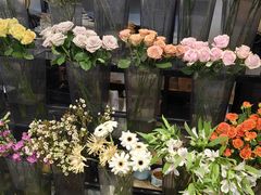 -ChaKo Flora ·茶子花艺 (市北店)