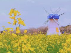 -武汉紫薇都市田园