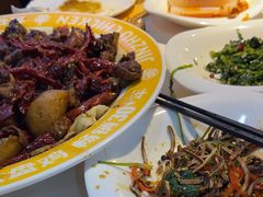 -金柱大盘鸡(跃进街店)
