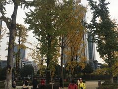 -百林公园-两江幸福广场