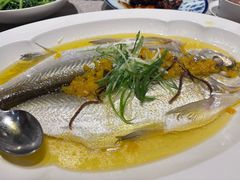 白水鱼-太湖饭店·寄畅轩中餐厅