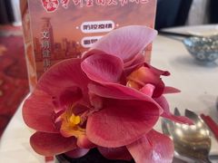 -新雅粤菜馆(南京东路店)