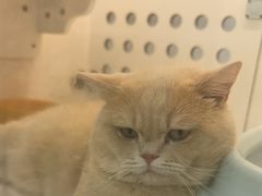 -comecome来吧宠物(奥克斯中心店)