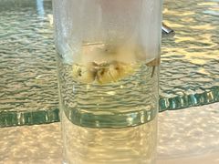 -通安客栈中餐厅·何家小馆