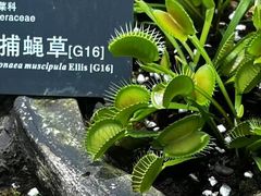 -国家植物园南园