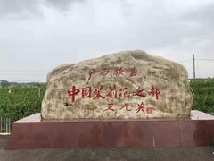 -中华茉莉园