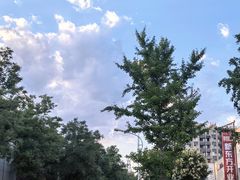 -和瑞广场
