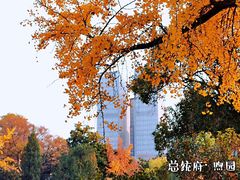 -南京中国近代史遗址博物馆(南京总统府)
