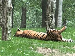 -北京野生动物园