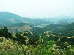-木兰云雾山