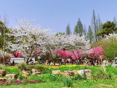 -苏州上方山国家森林公园